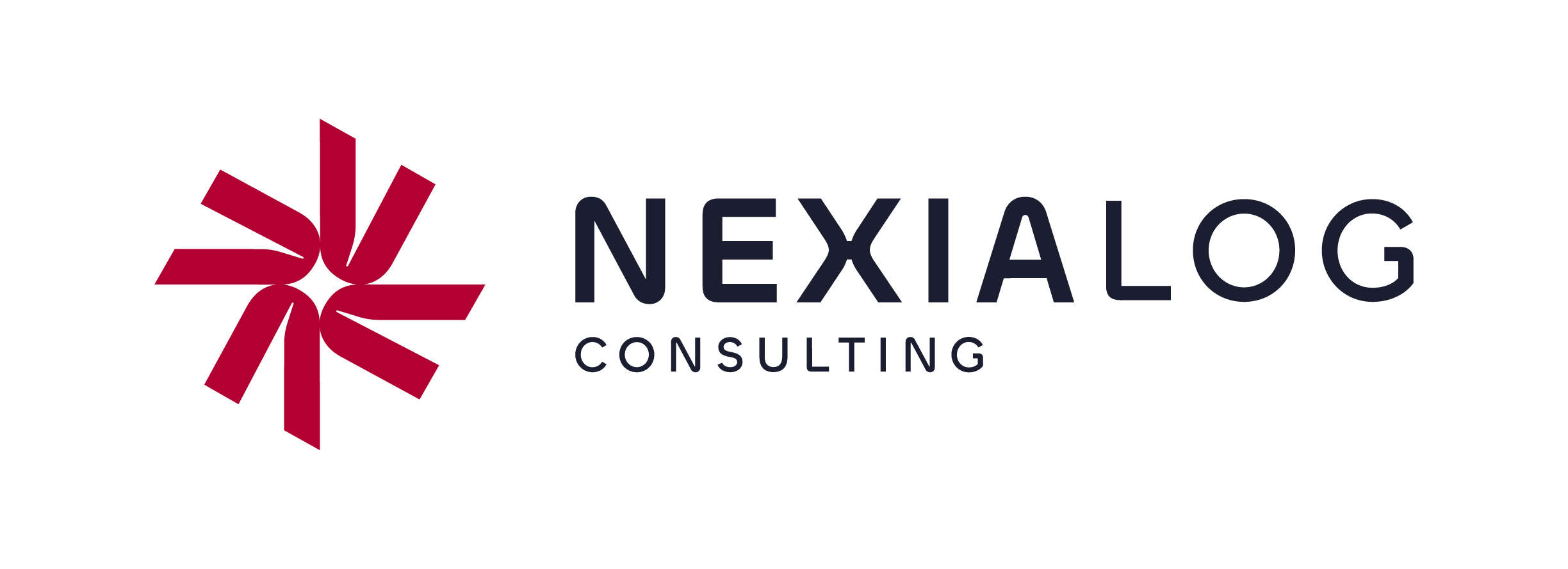 logo nexialog consulting